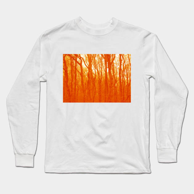VELVET WOOD: Orange Long Sleeve T-Shirt by Danny Germansen
